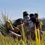 Tradisi Methik Masyarakat Adat Desa Glinggang Jelang Panen Raya