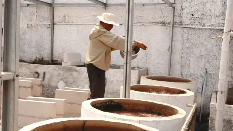 TERNAKLELEGORONGGORONG.mp4_snapshot_01.52.612-ezgif.com-jpg-to-webp-converter