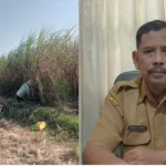 Dispertan Madiun : ID Food Akan Serap 20 Ribu Ton Gula Petani