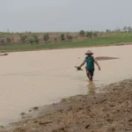 Tradisi Berburu Ikan Waduk Surut di Musim Kemarau