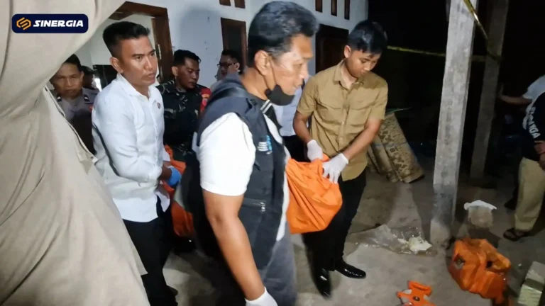 SalinandariSalinandariSalinandariSalinandariSalinandariSalinandariSalinandariTEMPLATEGAMBARPOST-ezgif.com-jpg-to-webp-converter