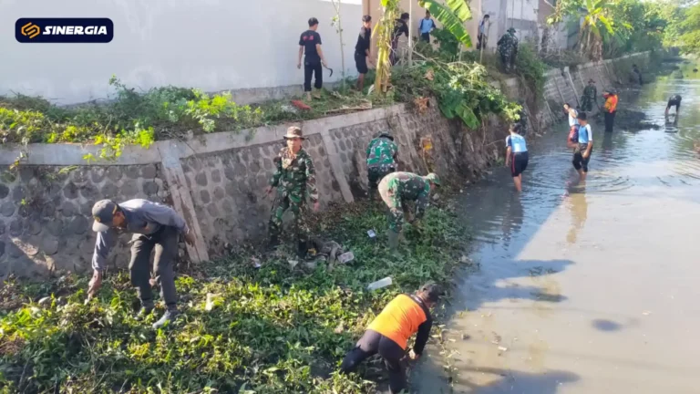 SalinandariSalinandariSalinandariSalinandariSalinandariSalinandariSalinandariTEMPLATEGAMBARPOST-ezgif.com-jpg-to-webp-converter