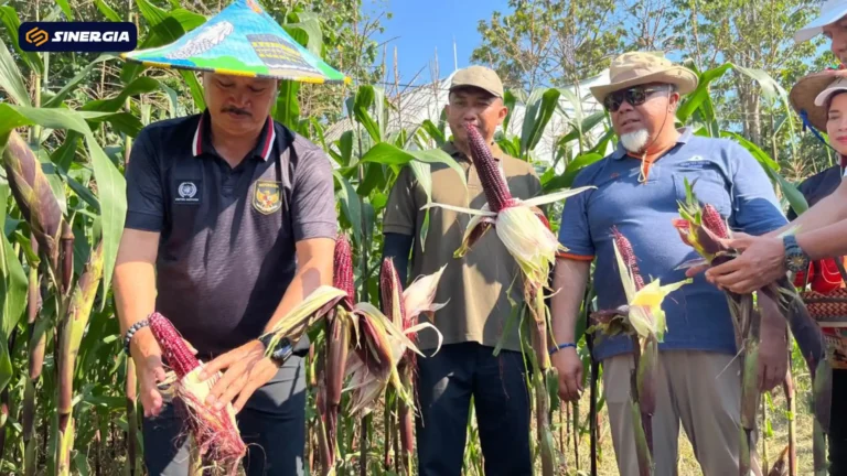 SalinandariSalinandariSalinandariSalinandariSalinandariSalinandariSalinandariTEMPLATEGAMBARPOST-ezgif.com-jpg-to-webp-converter