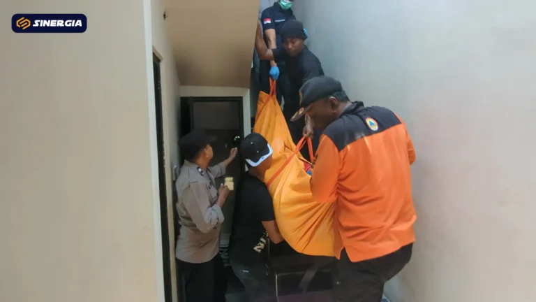 SalinandariSalinandariSalinandariSalinandariSalinandariSalinandariSalinandariTEMPLATEGAMBARPOST-ezgif.com-jpg-to-webp-converter