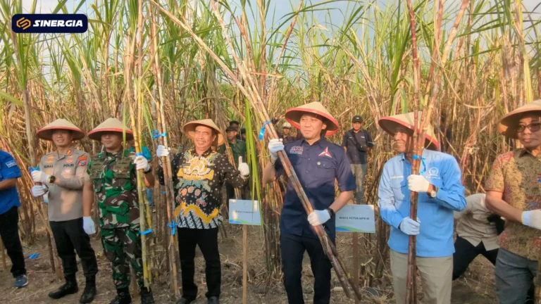 SalinandariSalinandariSalinandariSalinandariSalinandariSalinandariSalinandariTEMPLATEGAMBARPOST-ezgif.com-jpg-to-webp-converter