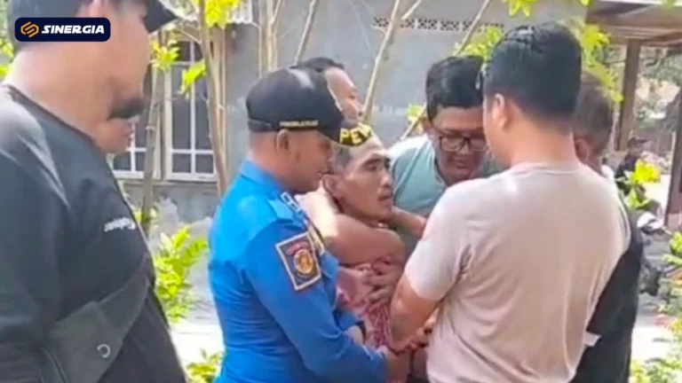 SalinandariSalinandariSalinandariSalinandariSalinandariSalinandariSalinandariTEMPLATEGAMBARPOST-ezgif.com-jpg-to-webp-converter