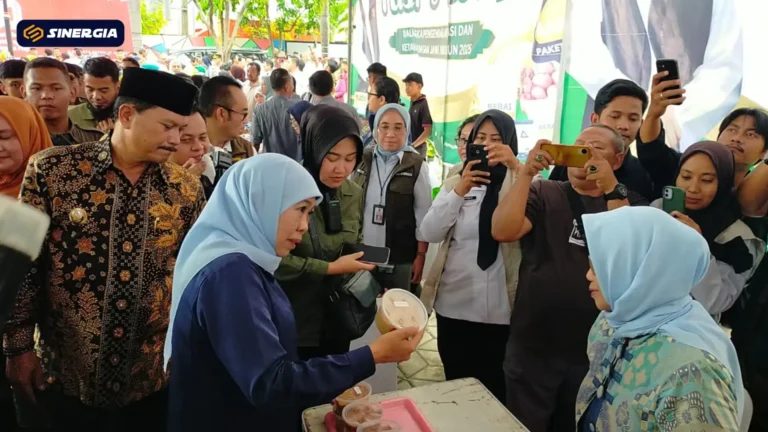 SalinandariSalinandariSalinandariSalinandariSalinandariSalinandariSalinandariTEMPLATEGAMBARPOST-ezgif.com-jpg-to-webp-converter