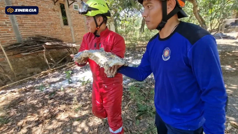 SalinandariSalinandariSalinandariSalinandariSalinandariSalinandariSalinandariTEMPLATEGAMBARPOST-ezgif.com-jpg-to-webp-converter