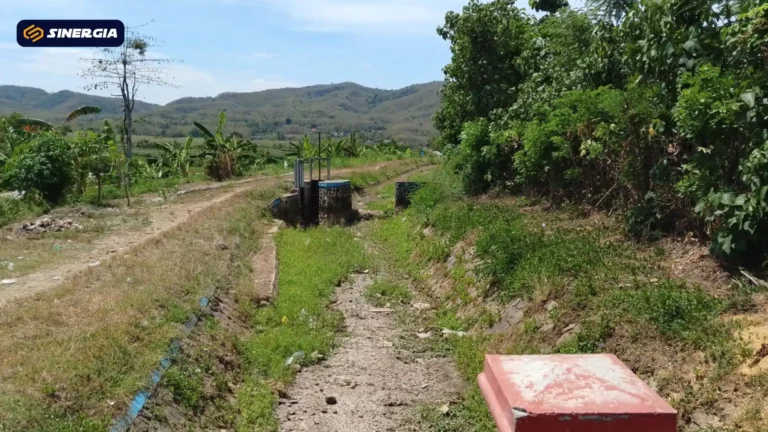 SalinandariSalinandariSalinandariSalinandariSalinandariSalinandariTEMPLATEGAMBARPOST-ezgif.com-jpg-to-webp-converter (2)