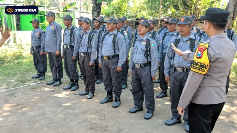 SalinandariSalinandariSalinandariSalinandariSalinandariSalinandariTEMPLATEGAMBARPOST-ezgif.com-jpg-to-webp-converter (2)