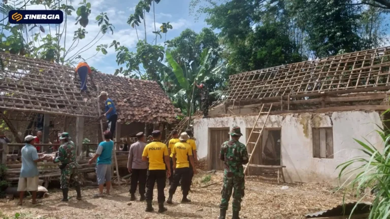 SalinandariSalinandariSalinandariSalinandariSalinandariSalinandariTEMPLATEGAMBARPOST-ezgif.com-jpg-to-webp-converter (2)