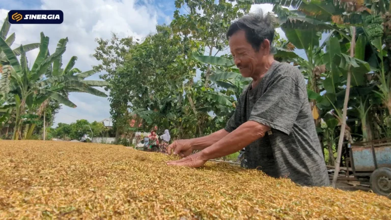 SalinandariSalinandariSalinandariSalinandariSalinandariSalinandariTEMPLATEGAMBARPOST-ezgif.com-jpg-to-webp-converter (2)