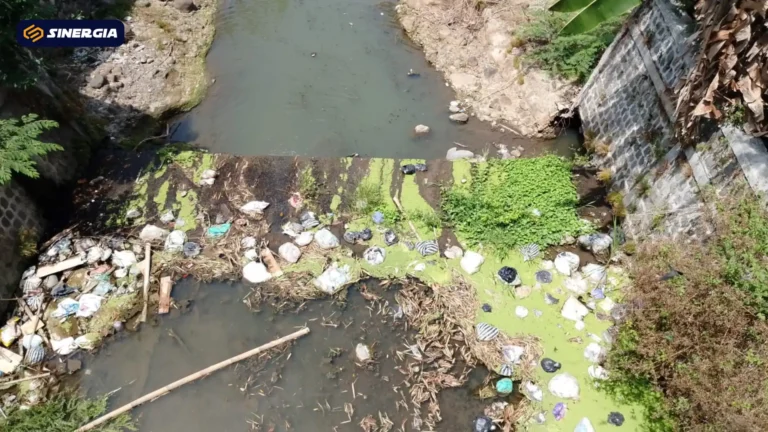 SalinandariSalinandariSalinandariSalinandariSalinandariSalinandariTEMPLATEGAMBARPOST-ezgif.com-jpg-to-webp-converter (2)