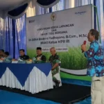 Penumpukan Gula di Gudang PG Jadi Sorotan, APTRI Ingatkan Pemerintah Hati-Hati Kelola BUMN Pangan