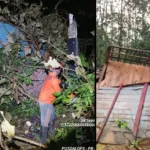 Hujan Angin Terjang Kasreman Ngawi, Tiga Rumah Rusak dan Sapi Tewas Tertimpa Bangunan