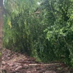 Angin Kencang Terjang Ngawi, Puluhan Rumah dan Fasilitas Umum Rusak