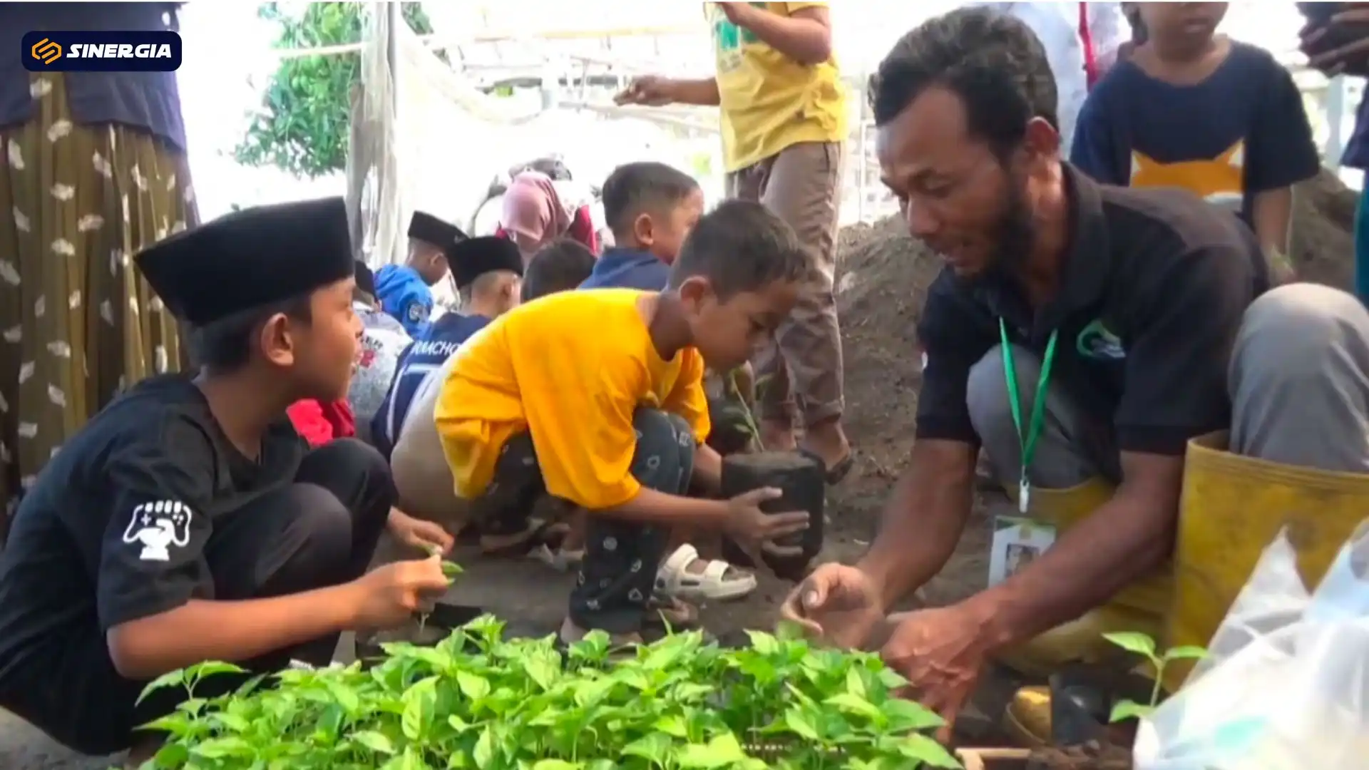 Puluhan Anak-Anak Seru-seruan “Sinau Tani” dan Panen Semangka