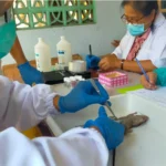 BRIN Teliti Penyakit Murine Typhus di Kota Madiun, Deteksi Dini Lewat Sampel Tikus