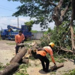 Dampak Hujan dan Angin Kencang Sejumlah Rumah dan Fasilitas Umum Rusak di 3 Kecamatan