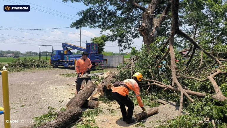 DAMPAKCUACA EKSTRIM MDN