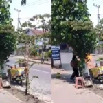 Bikin Panik ! Gerobak Motor Pedagang Terbakar di Depan Sekolah