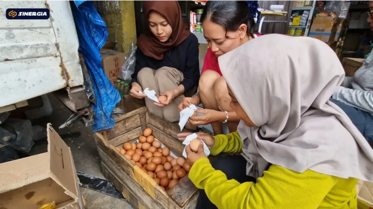 HARGA TELUR NAIK