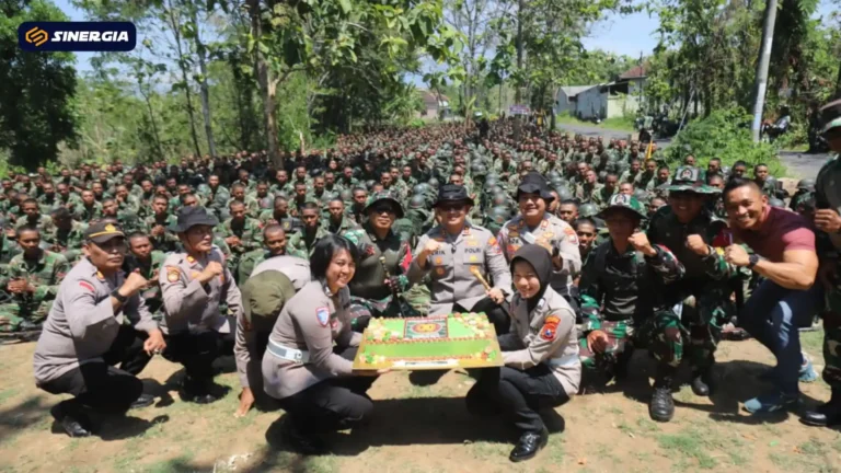 HUT TNI