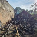 Diduga Korsleting Listrik, Kandang Sapi di Ponorogo Ludes Terbakar