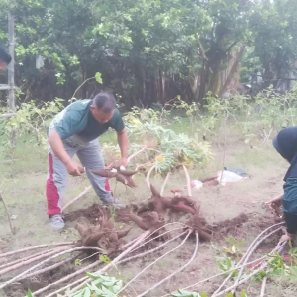 Berbagi dari Kebun Sendiri, Kisah Keteladanan Sederhana Letda Isdayun