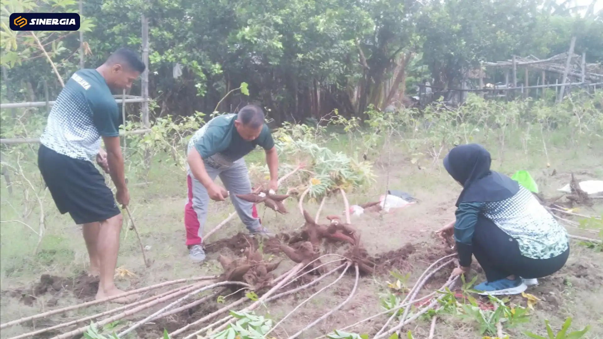 Berbagi dari Kebun Sendiri, Kisah Keteladanan Sederhana Letda Isdayun