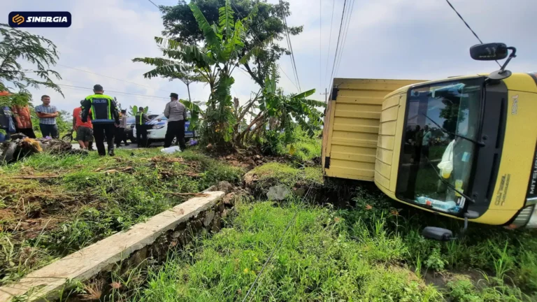 LAKA TRUK BOX VS VRIO