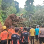 40 KK di Madiun Terisolir dan 1 Bangunan Rumah Tertimpa Material Longsor