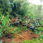 Jalur Madiun–Ponorogo Via Kandangan Kerap Terjadi Longsor, Warga Kare Dihimbau Waspada