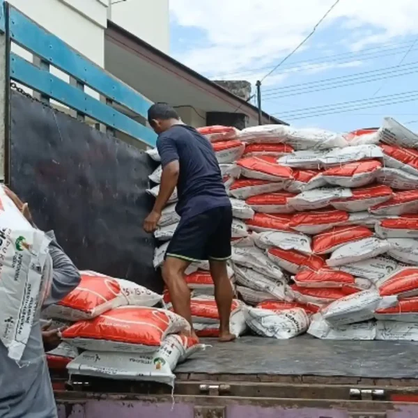 Pemkot Madiun Salurkan 146 Ton Pupuk Non Subsidi untuk 32 Kelompok Tani