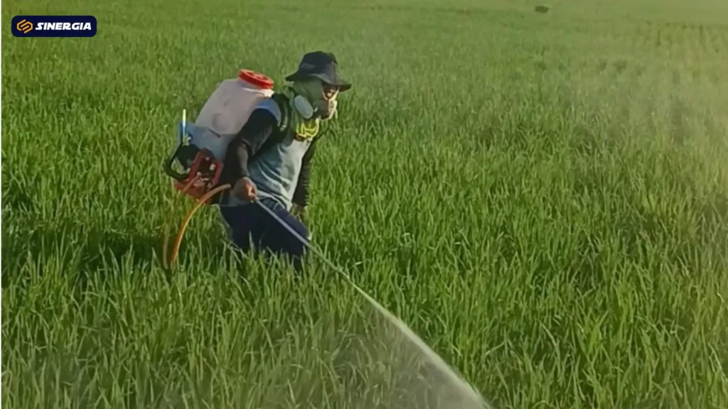 Petani Muda Magetan Inovasi Alat Semprot, Buktikan Bertani Bisa Keren…