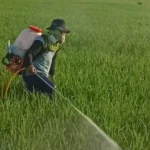 Petani Muda Magetan Inovasi Alat Semprot, Buktikan Bertani Bisa Keren dan Menguntungkan