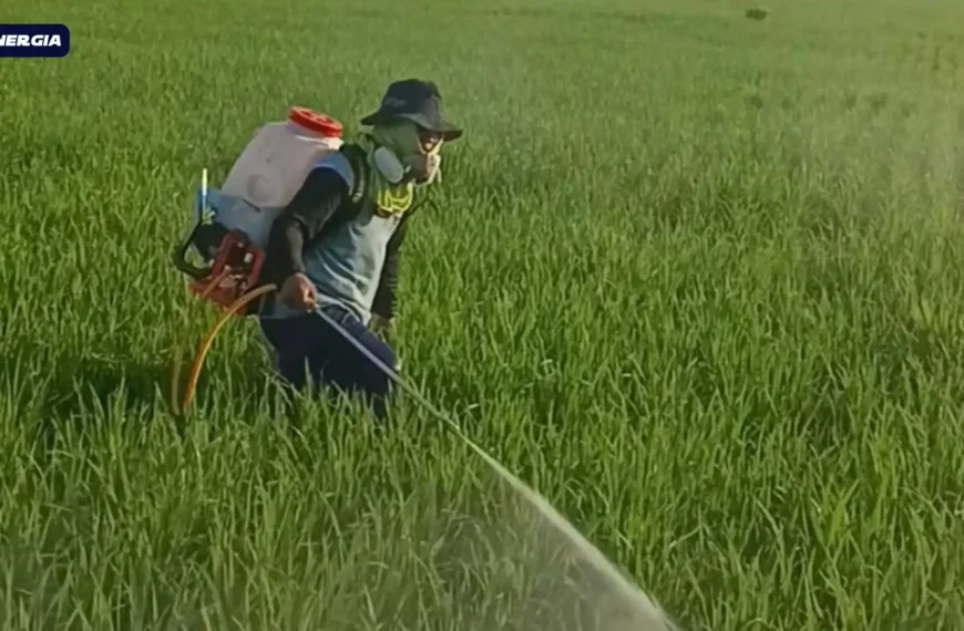 Petani Muda Magetan Inovasi Alat Semprot, Buktikan Bertani Bisa Keren dan Menguntungkan