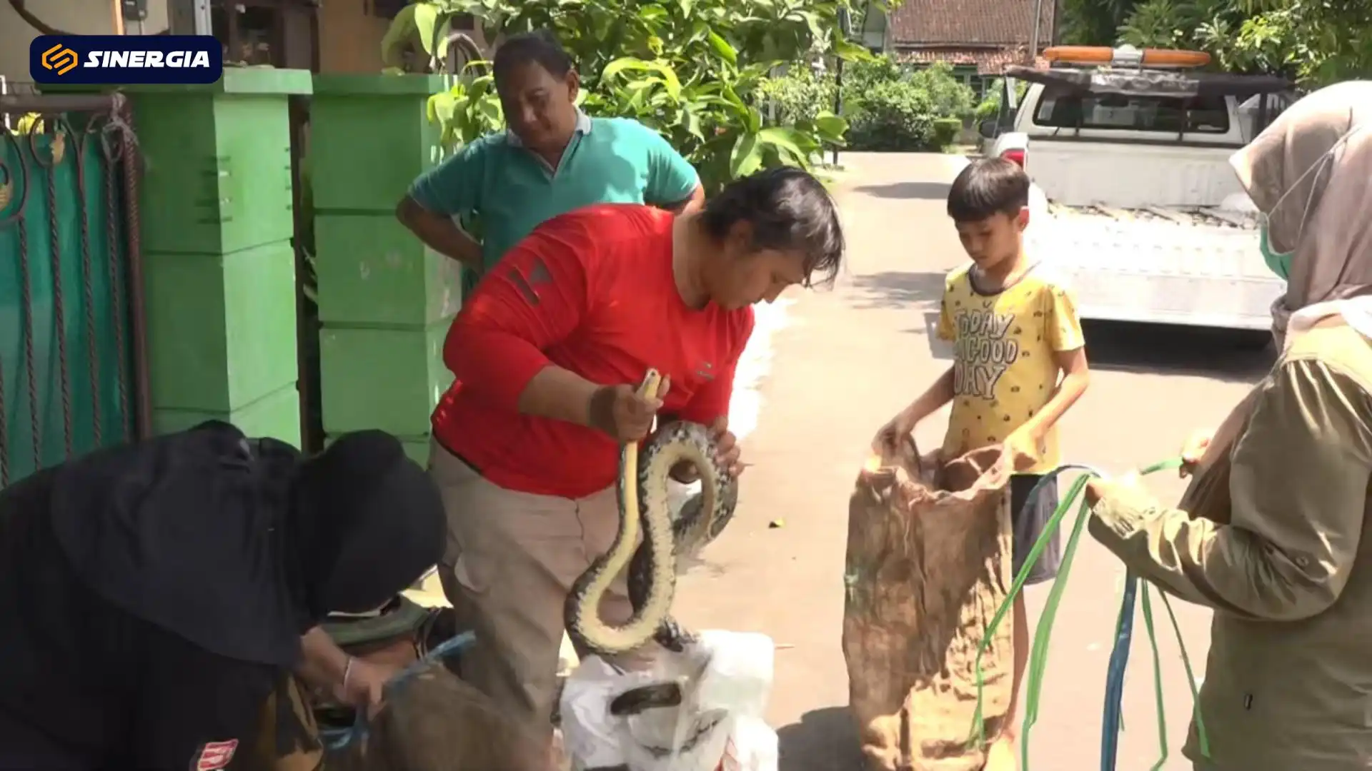 Puluhan Satwa Liar Diselamatkan, JSI Serahkan 34 Ekor ke BBKSDA Jatim