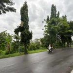 Pemkot Madiun Wacanakan Pembangunan Jembatan, Butuh Anggaran Rp. 1 Miliar – Rp. 2 Miliar