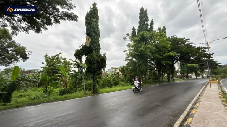 JALAN KOTA