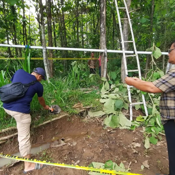 Kakek 62 Tahun di Magetan Meninggal Usai Terjatuh dari Pohon Jati