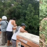 Ular Piton 5 Meter Hebohkan Warga Magetan, Terlihat Melilit di Atas Pohon Lamtoro