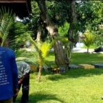 Segera Hadir Mini Zoo Bertema Australia, Pemkot Madiun Target Dibuka Tahun 2026