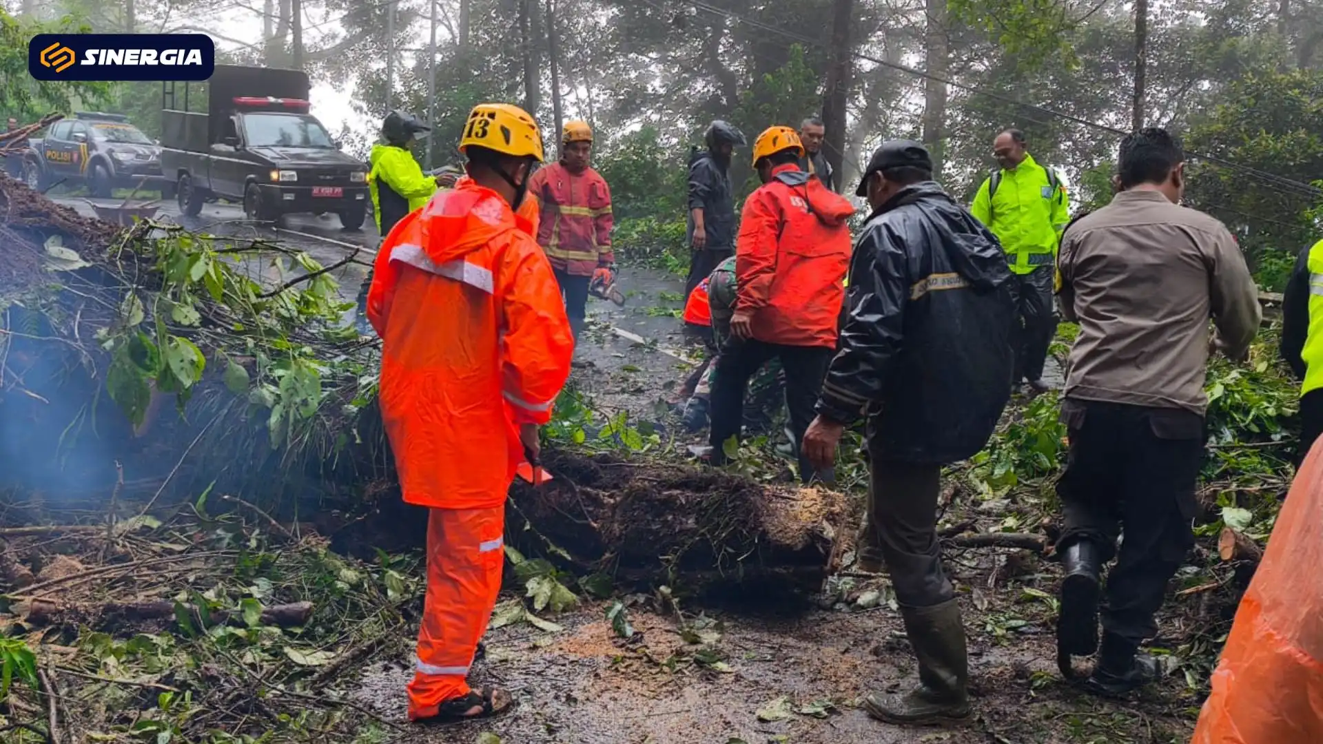 Pohon Pasang Tumbang Tutup Total Jalan Sarangan–Cemorosewu, Akses Sempat Lumpuh