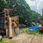 Polres Madiun Periksa 4 Saksi, Dalami Dugaan Pembalakan Liar