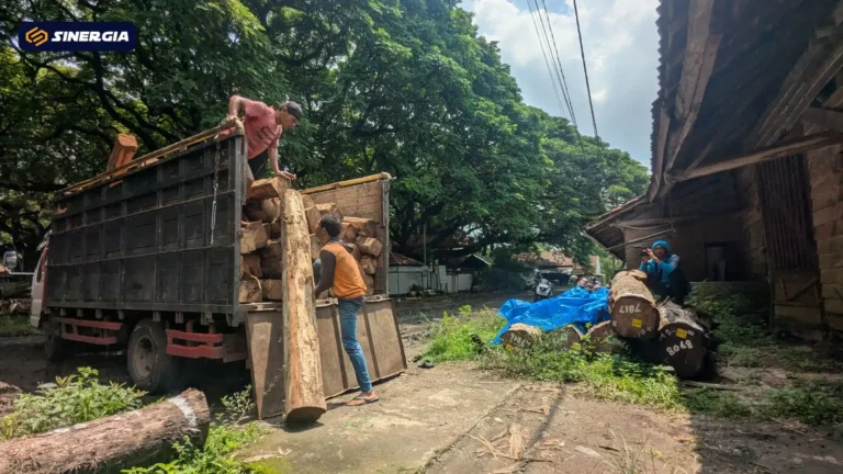 POLRES MDN DALAMI DUGAAN KAYU