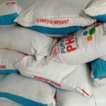 Petani Magetan Keluhkan Pupuk Subsidi Masih Mahal, Diduga Ada “Kreasi Harga” di Kelompok Tani