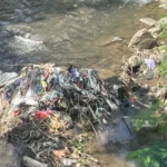 Sungai Gandong Kidul Dipenuhi Sampah, Warga Desak Penertiban