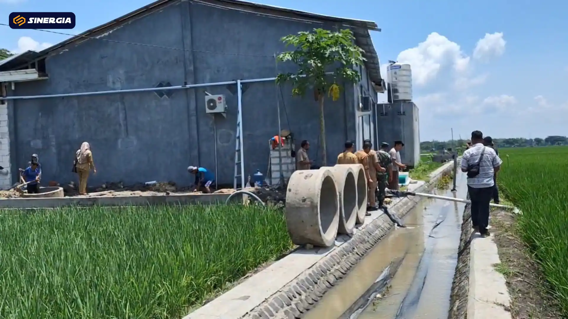 Sumur Petani Berbusa, Limbah Dapur Program Gizi Diduga Jadi Penyebab