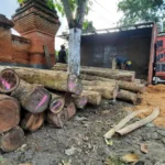 Truk Bermuatan Ratusan Kayu Perhutani Terguling di Jalur Wisata Sarangan